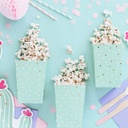 BOITES A POPCORN CACTUS