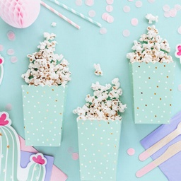 BOITES A POPCORN CACTUS