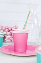 PAILLES RAYURES ROSE PASTEL