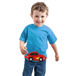 SAC BANANE VOITURE