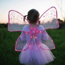 AILES MAGIQUES LUMINEUSES ROSE