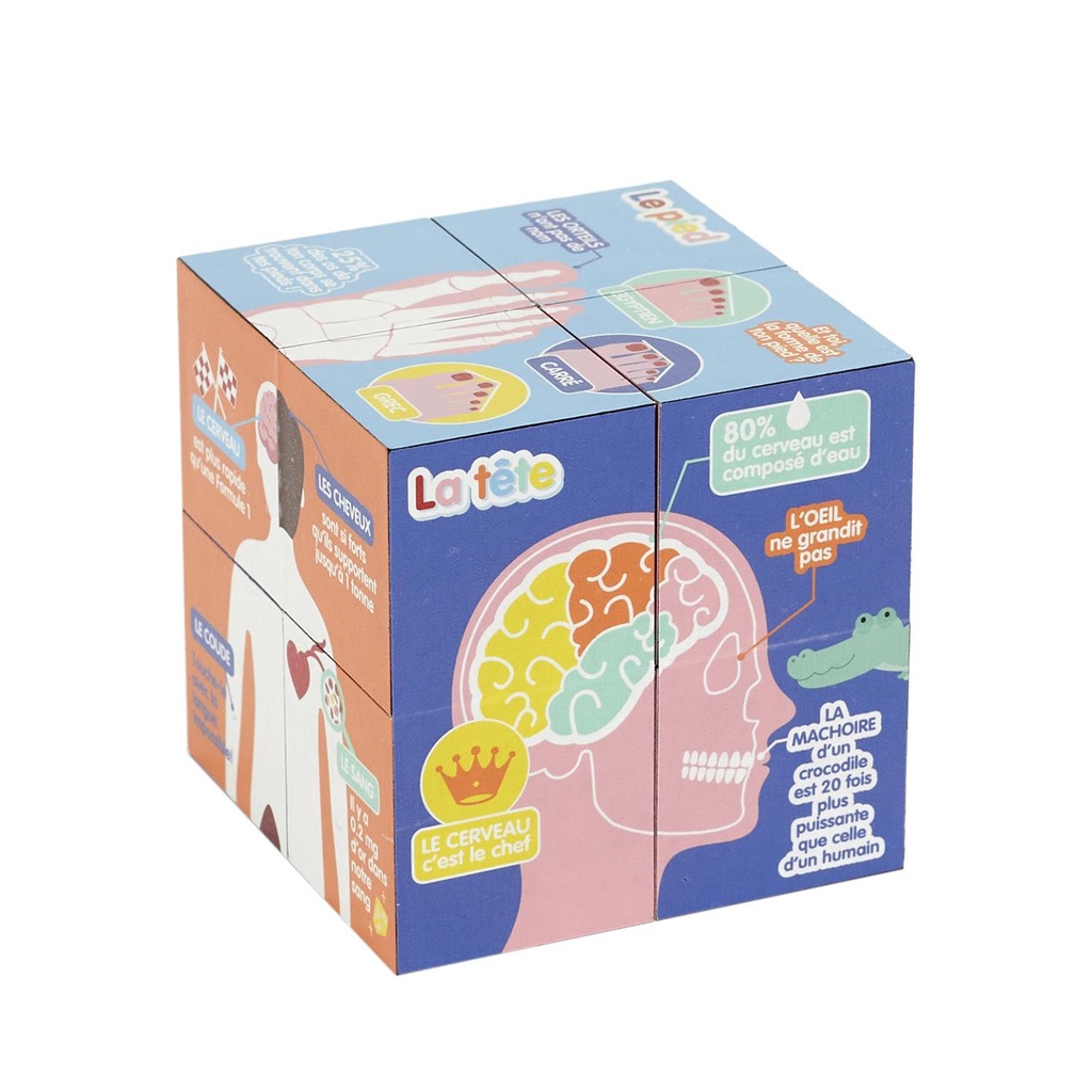 CUBE EDUCATIF CORPS HUMAIN